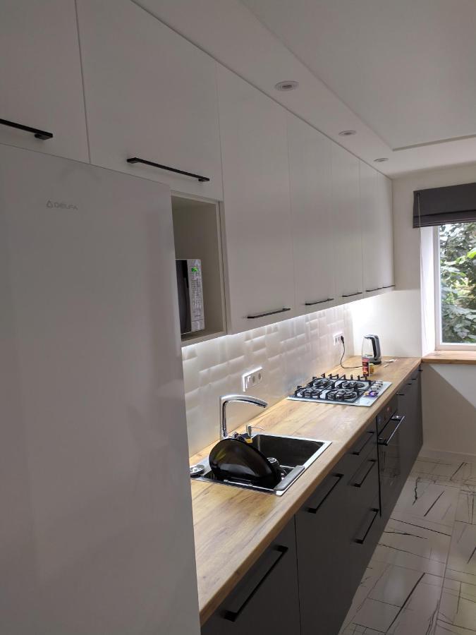 Cozy 75 Apart In Center - 2Х Кімнатна Квартира В Центрі Кропивницького Кропивницкий Екстериор снимка